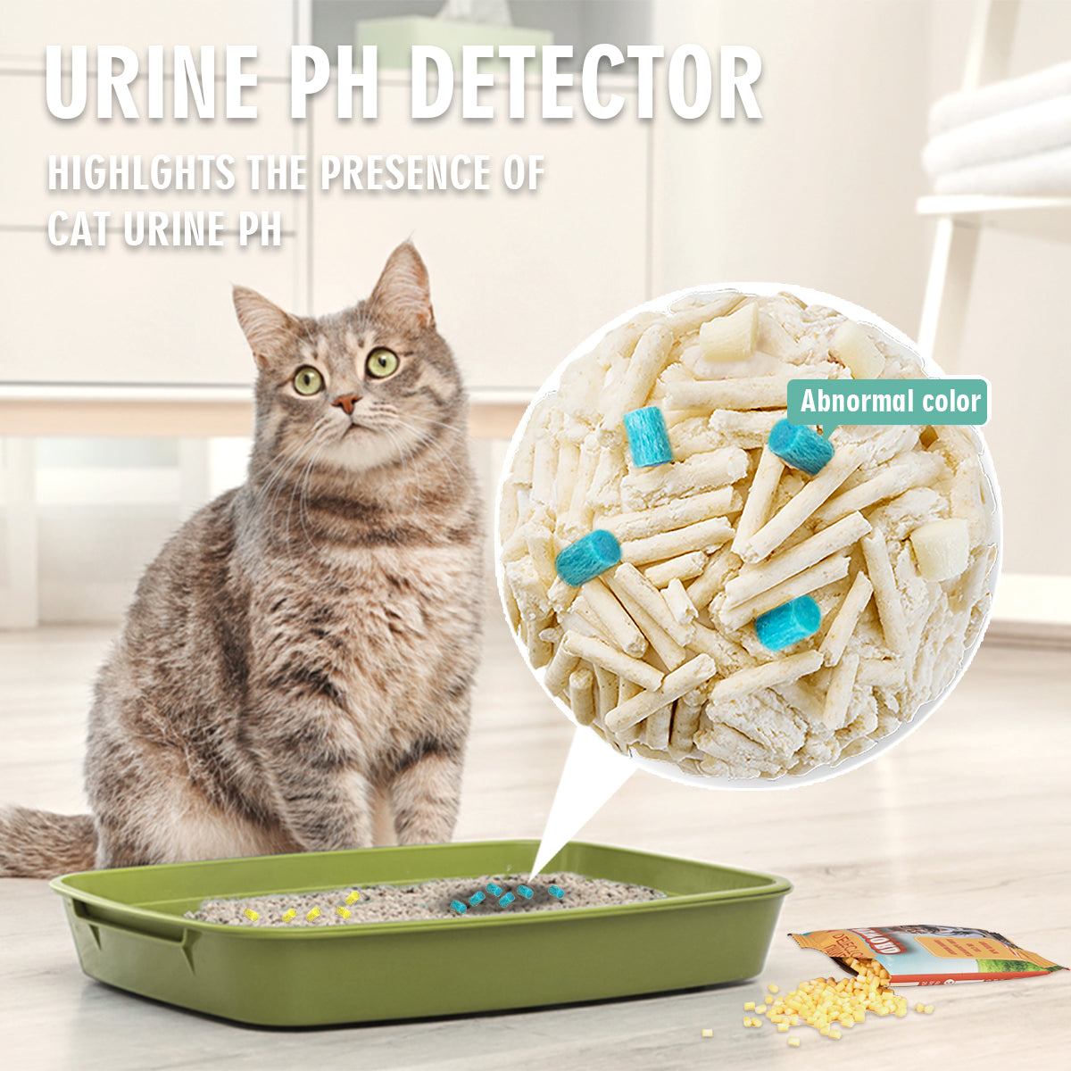 Cat Health & Wellness