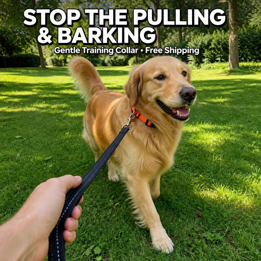 Waterproof Dog Training Collar